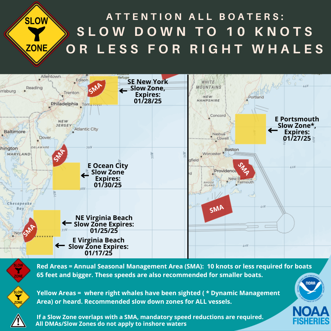 Right Whale Slow Zones in the U.S. Atlantic 1/16/25