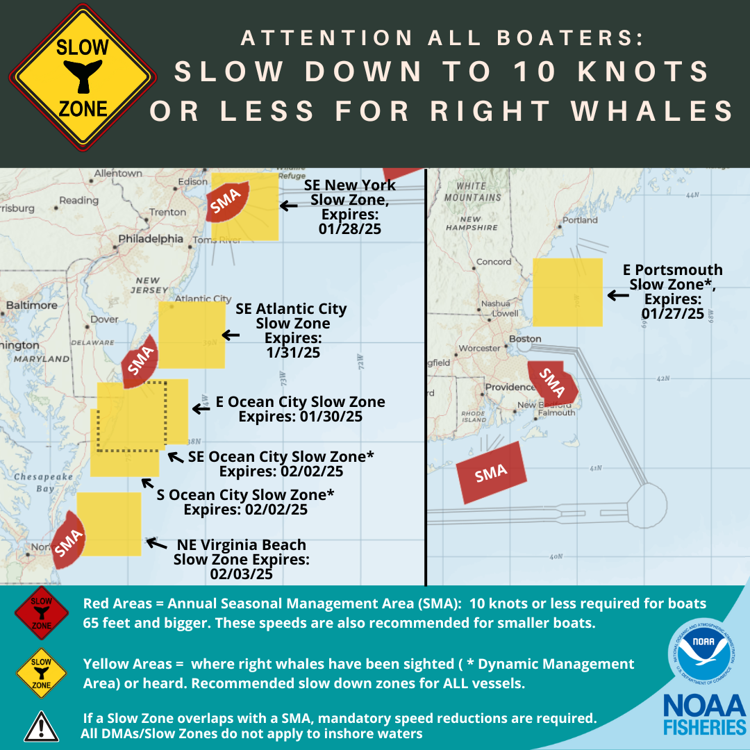 Right Whale Slow Zones in the US Atlantic as of 1/19/2025