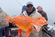 Man holds up an orange, yellow eye rockfish on a fishing boat