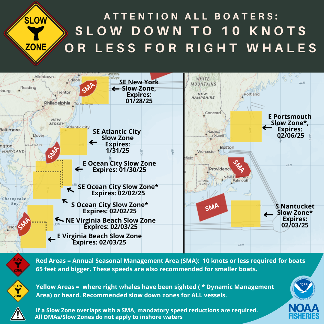 Map of Active Right Whale Slow Zones in the US Atlantic as of 1/23/25