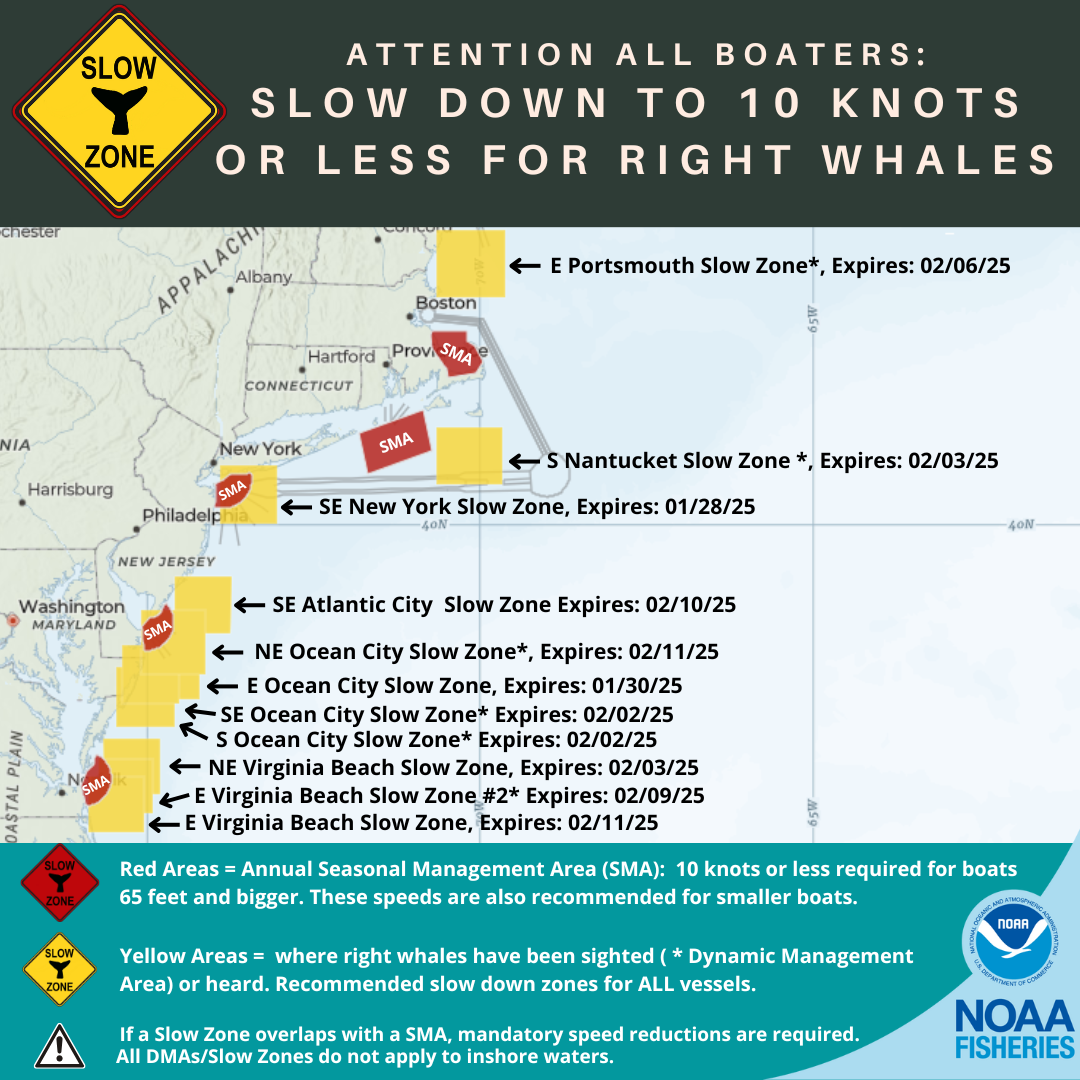 Active Right Whale Slow Zones in the U.S. Atlantic 1/28/2025