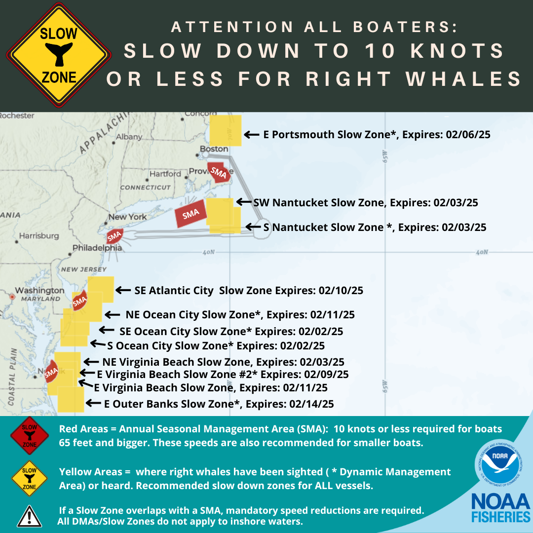 Active Right Whale Slow Zones in the US Atlantic