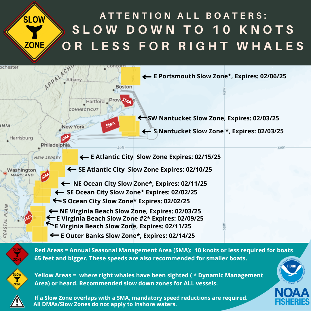 Current Right Whale Slow Zones on the US Atlantic