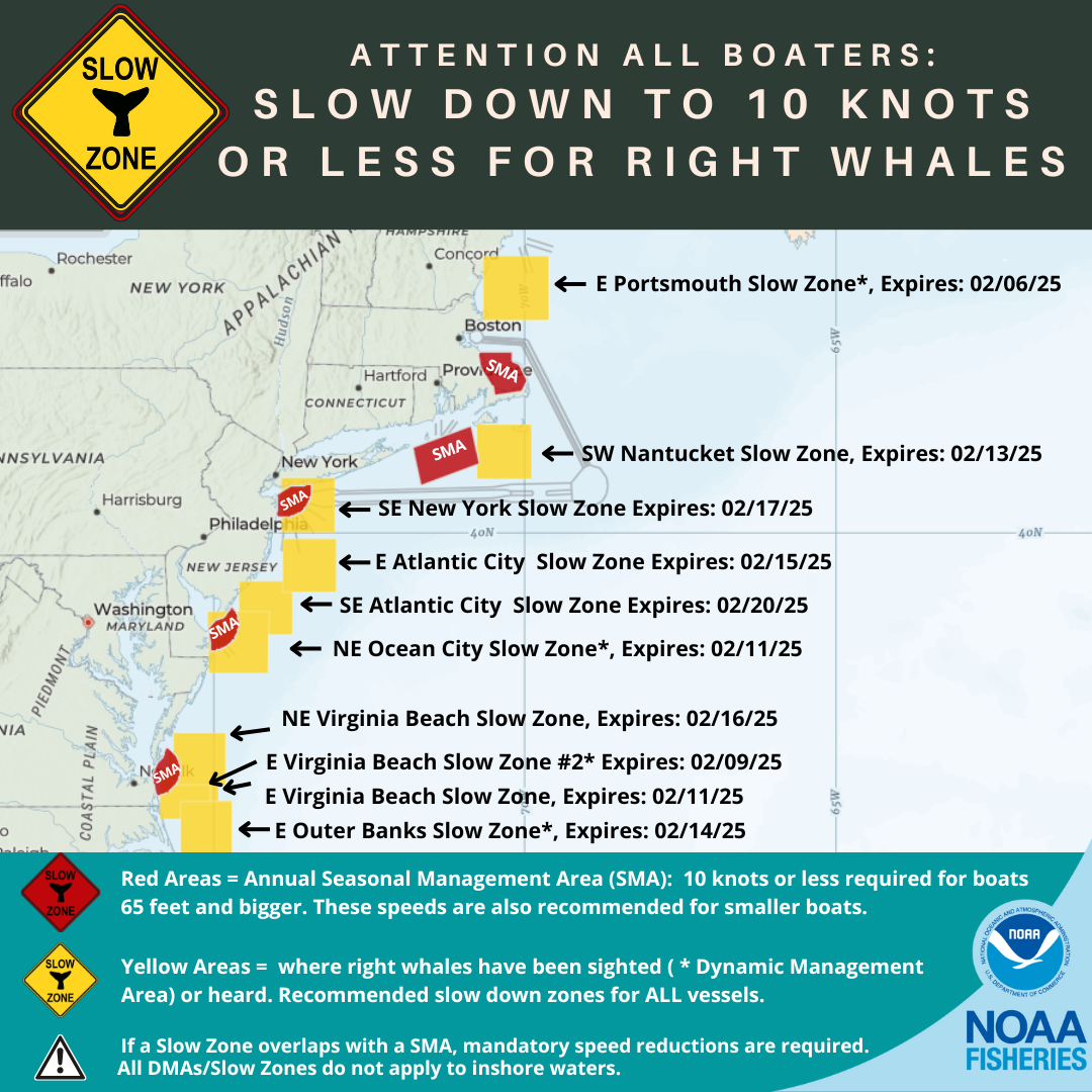 Current Active Right Whale Slow Zones in the US Atlantic