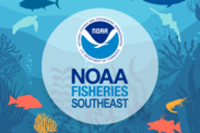 NOAA Fisheries Southeast logo with an illustration of an underwater scene featuring reefs, fish, and sea turtles