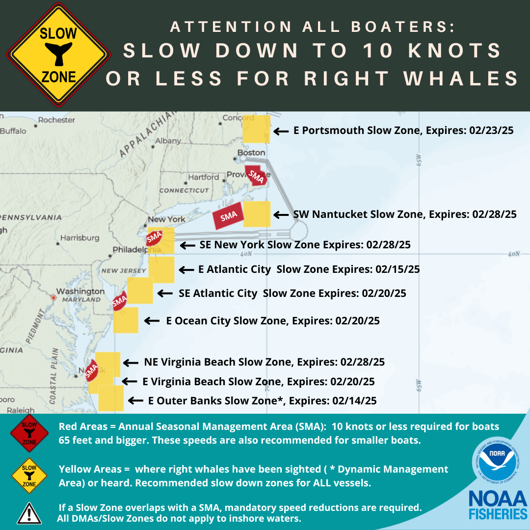 Active Right Whale Slow Zones in the US Mid Atlantic and New England