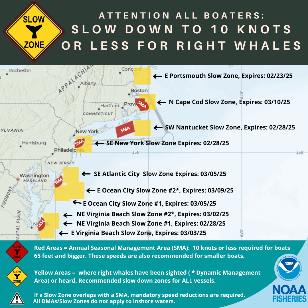 Right Whale Slow Zones in the Mid Atlantic and Northeast US