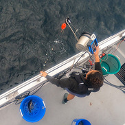 aerial view of hook and line jigging machine being fished
