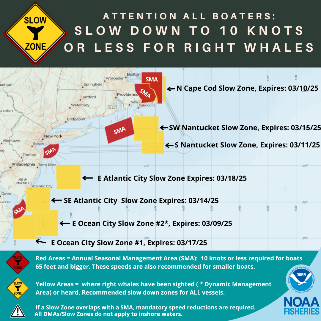 Middle Atlantic CFR-9-23 Middle Atlantic CFR-9-23 Cabinet Frame Rack (9 RU) CFR-9-23 B\u0026H