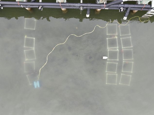 University of Maryland’s remotely operated vehicle surveys a quadrate array on an oyster reef.