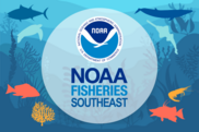 750x500-NOAAFisheriesSoutheast-Instagram-Graphic