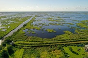 750x500-cwppra_wetlandrestoration-North-Delacroix-LA