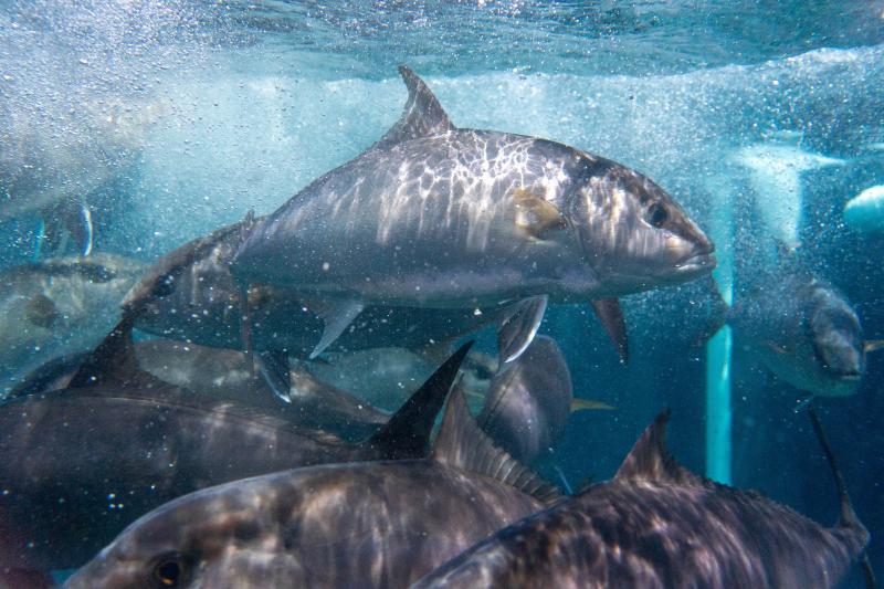 Accomplishments report