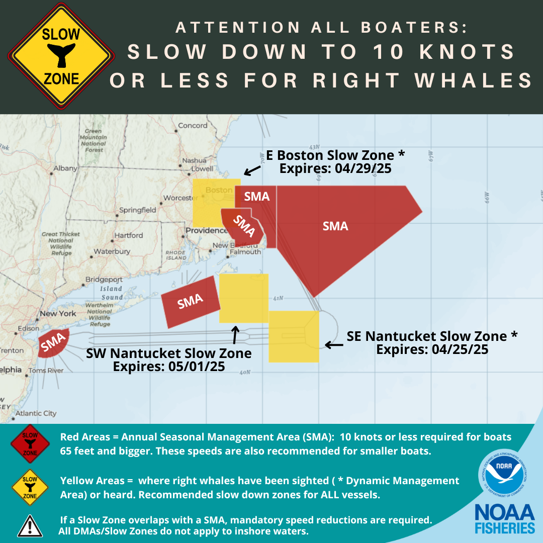 North Atlantic right whale Slow Zones Active in the U.S. Atlantic