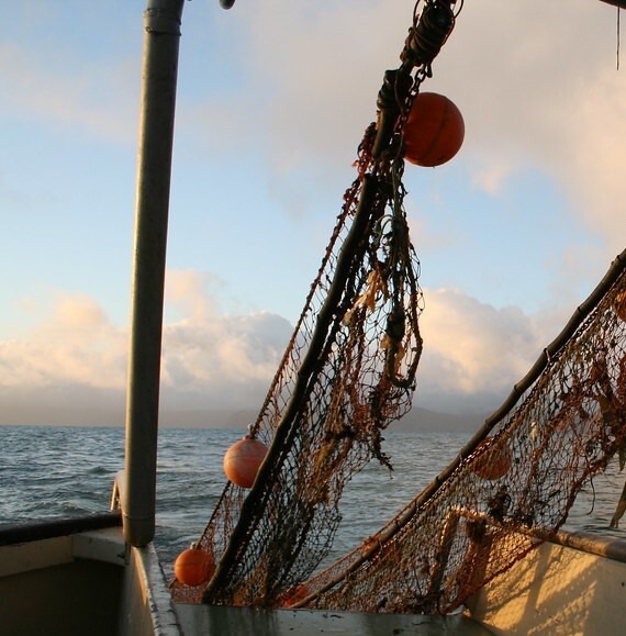 Trawl Fishing