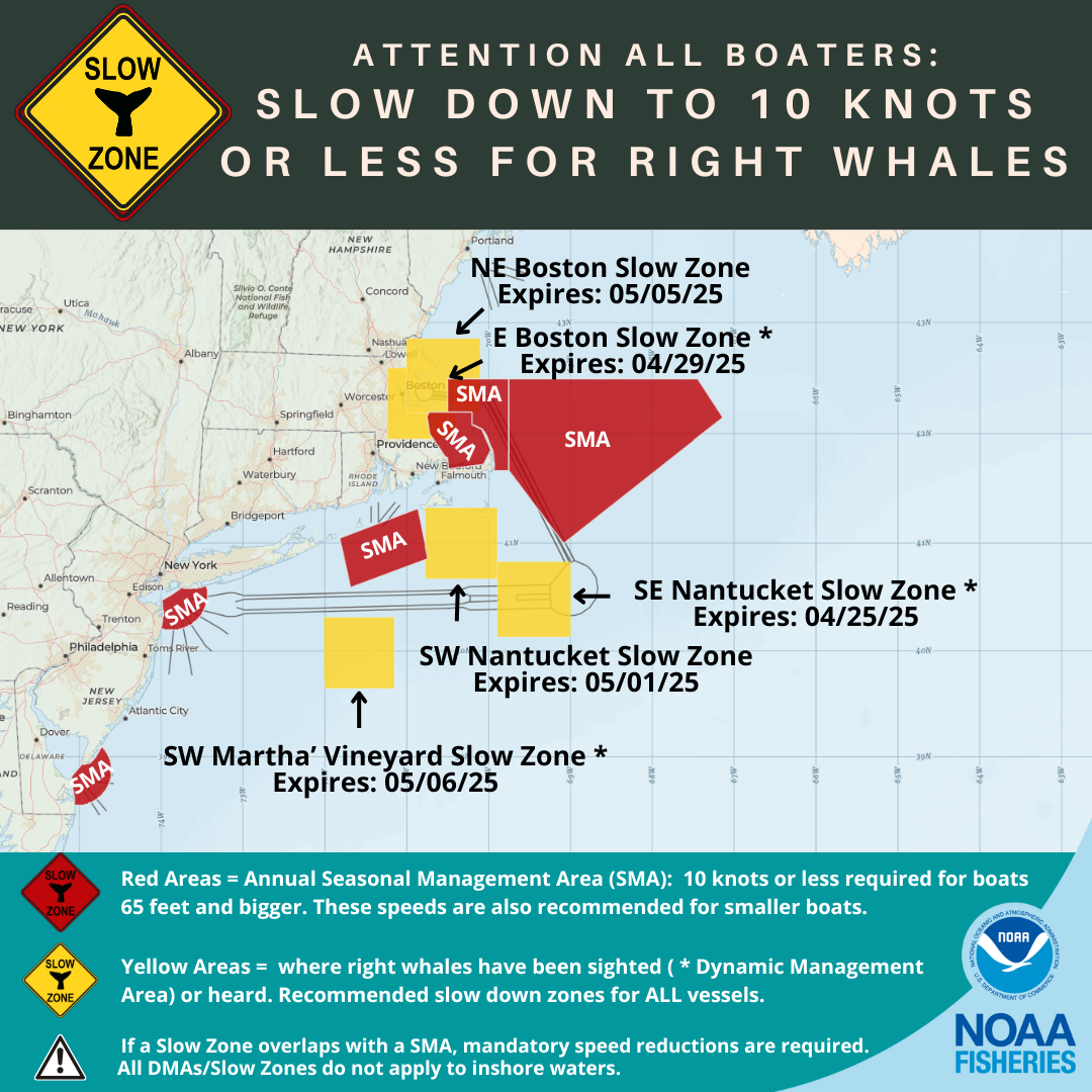Right Whale SZ Map 042225