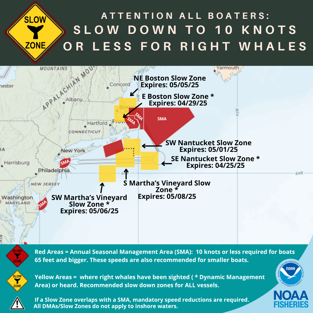 North Atlantic Right Whale Slow Zones in the US Atlantic as of 4/24/25