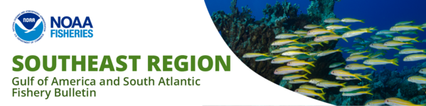 Gulf of America and South Atlantic Fishery Bulletin masthead