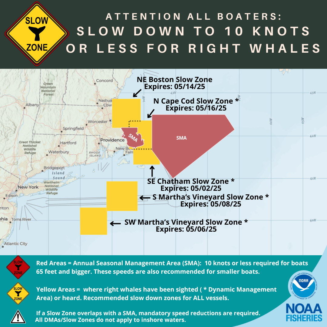 North Atlantic Right Whale Slow Zones in the US Atlantic as of 5/2/2025