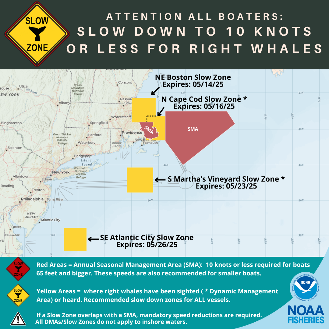 North Atlantic Right Whale Slow Zones in the US Atlantic as of 5/12/25