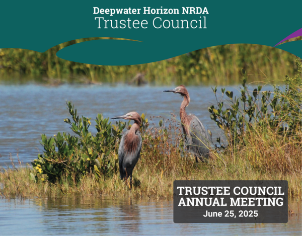 2025-05-tc annual meeting save the date