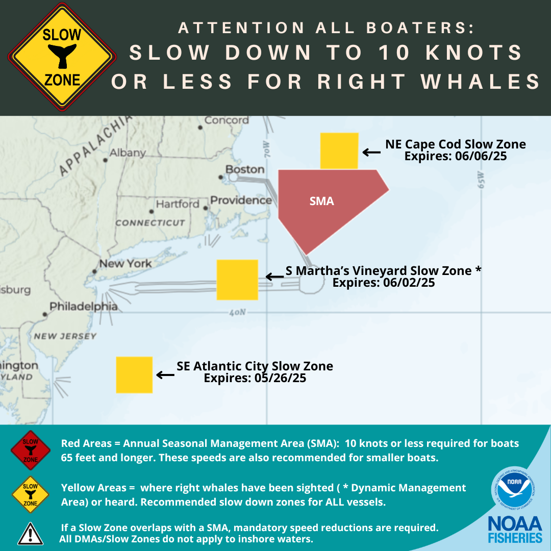 North Atlantic Right Whale Slow Zones in the US Atlantic