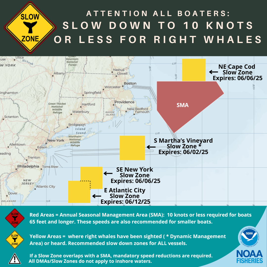North Atlantic Right Whale Slow Zones in the US Atlantic as of 5/28/2025