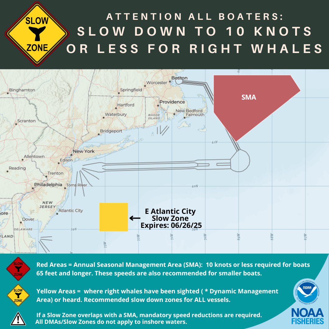 North Atlantic Right Whale Slow Zones in the US Atlantic