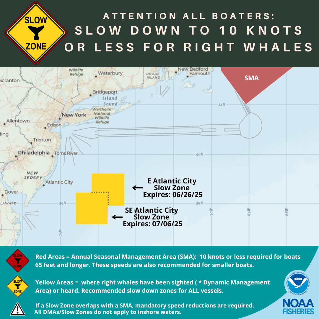 North Atlantic Right Whale Slow Zones on the US Atlantic