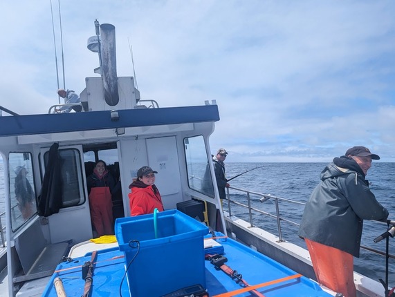 Fishing for sablefish broodstock in Washington's Puget Sound. Photo Credit: Ken Cain