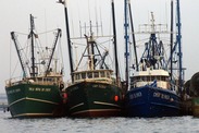 Fishing boats in New England