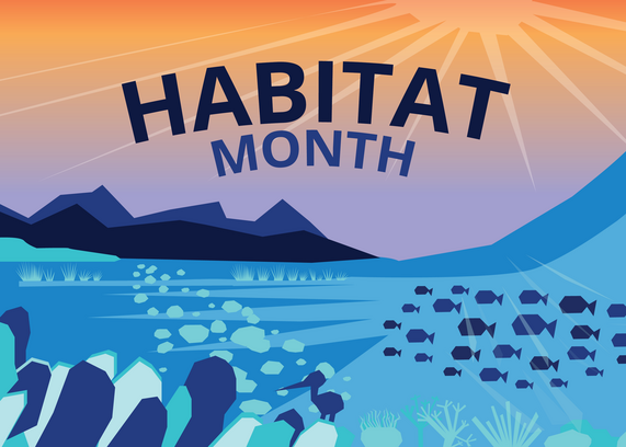 Habitat Month Banner Feature