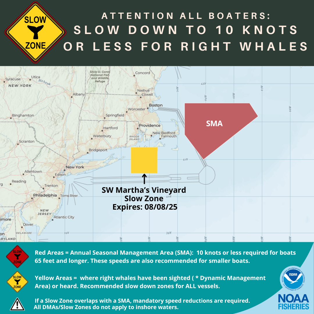 Right Whale Slow Zone