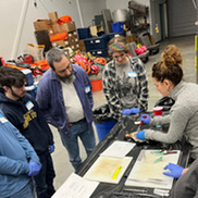 Scientists prepare to conduct a necropsy