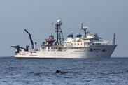 sperm whale in front of Gunter credit NOAA Fisheries Jonathan Reid