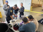 testing seafood samples to catch mislabeling