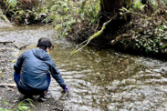 A person wearing purple gloves collecting water samples from a creek