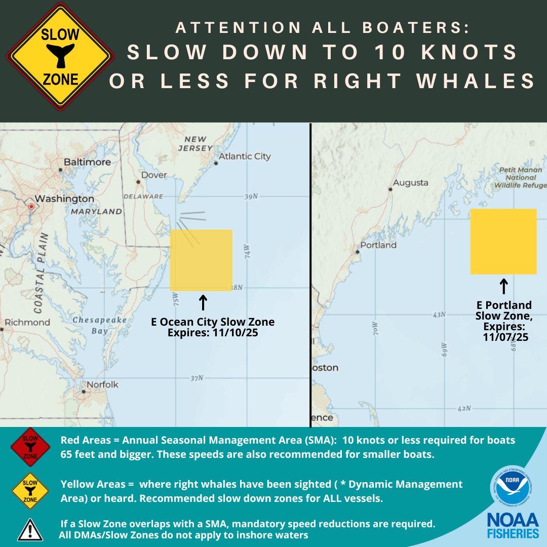 North Atlantic Right Whale Slow Zones as of 10/27/25