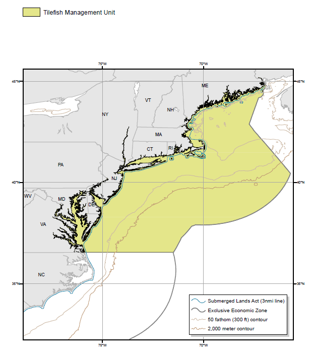 tilefish map