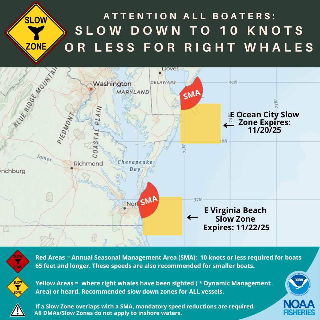North Atlantic Right Whale Slow Zones as of 11/9/25
