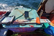 The electronic data collection setup used by the groundfish conversion factor project. Credit: NOAA Fisheries/Dan Gates