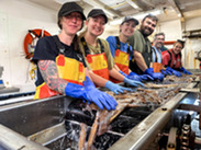 The science team quickly sorts the subsample so they can begin taking their measurements and biological samples. Credit: NOAA Fisheries/Sarah Salois
