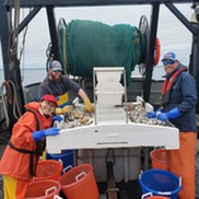 Restrictor rope study