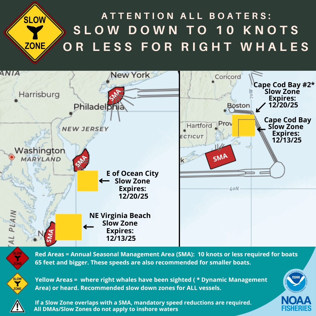 Right Whale Slow Zone 12/7