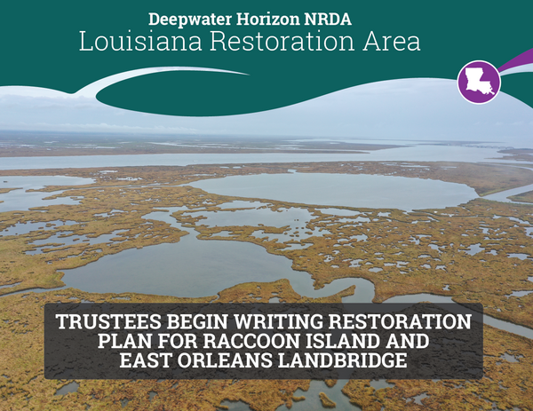 Rp8.1 Initiation Email Header