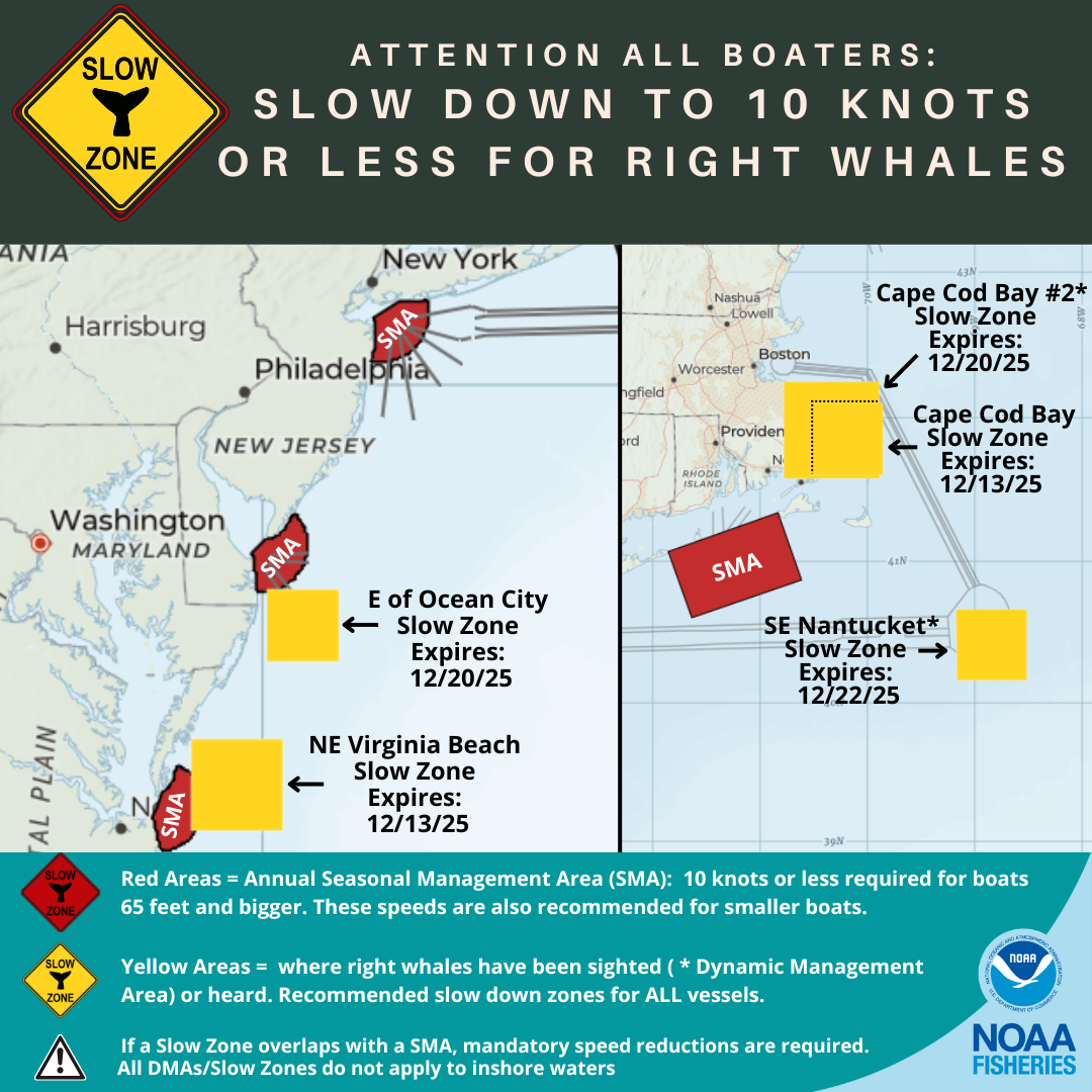 Active North Atlantic Right Whale Slow Zones in the US Atlantic as of 12/8/25