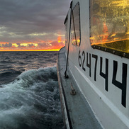 Fall Bottom Longline Survey