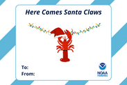 A holiday card that says "Here comes Santa Claws" with a lobster in a Santa hat hanging from a string of lights. Credit: NOAA Fisheries