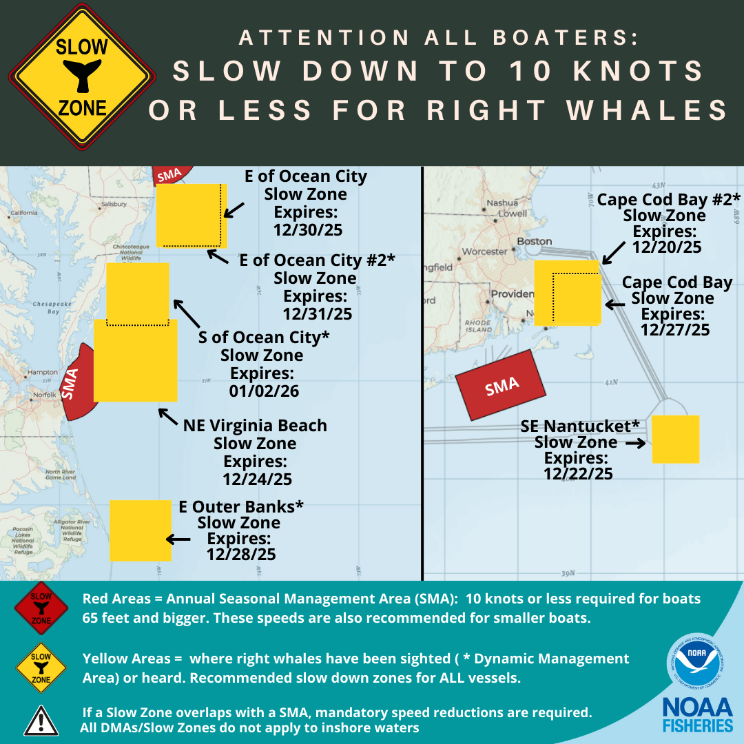 Active North Atlantic Right Whale Slow Zones in the US Atlantic as of 12/19/25