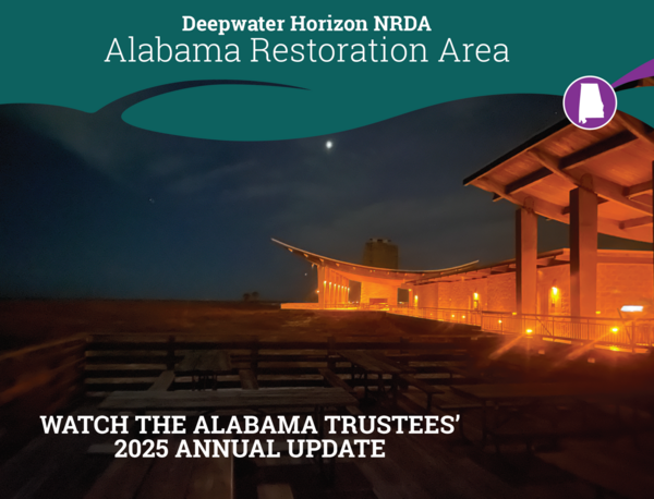 AL annual update 25 header
